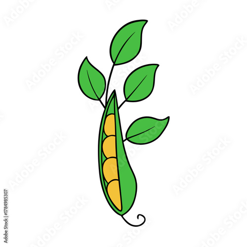 green peas on white background