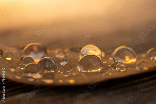 Herbst im Wald - Goldenlight