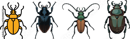 Exotic Beetle Vector Set: Diverse Longhorn, Stag, and Scarab Insect Illustration Collection
