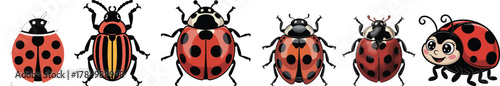 Diverse Ladybug Vector Set: Various Ladybird Beetles and Cute Cartoon Insect Collection