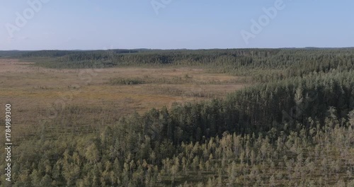Aerial view of Suurisuo (mire) nature resrve, located in Janakkalla, in in its natural state in sunny summer weather, Finland.