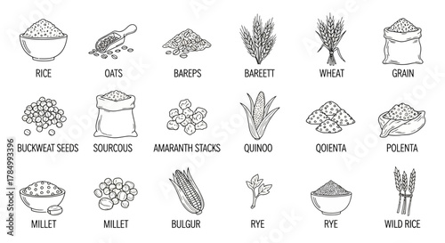 Assortment of handdrawn icons for various grains and seeds isolated on white background