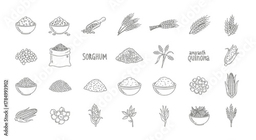 Assortment of handdrawn icons for various grains and seeds isolated on white background