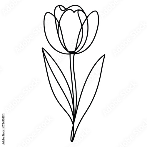 Minimalist continuous line drawing of a tulip flower with stem and leaves, symbolizing elegance, spring, nature, and floral simplicity 