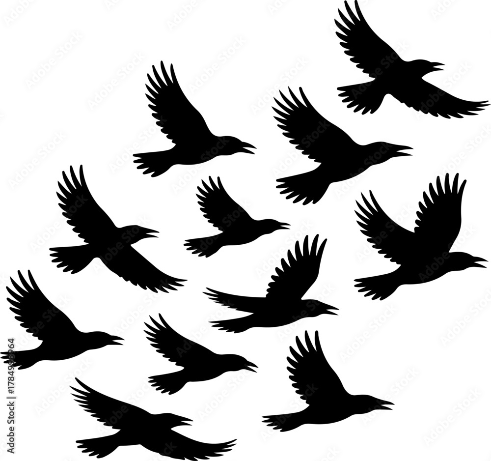 Fototapeta premium crow silhouette vector illustration