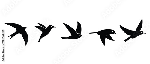 Silhouette of flying birds on transparent background.