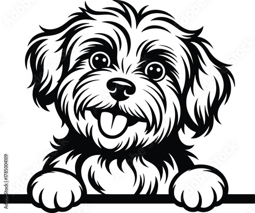 Cute fluffy dog peeking over a surface with tongue out