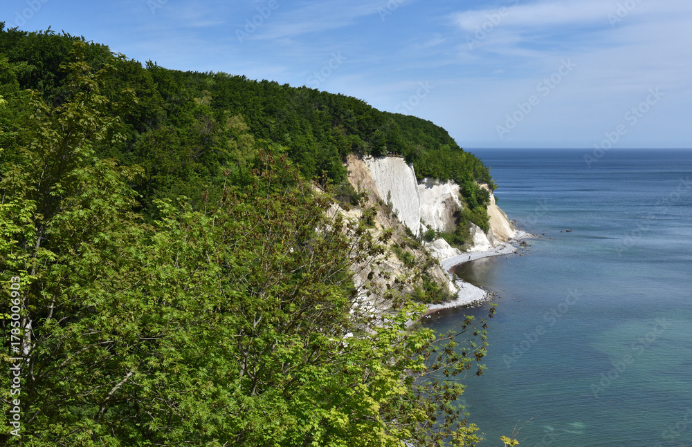 Fototapeta premium Die Kreidefelsen auf Rügen