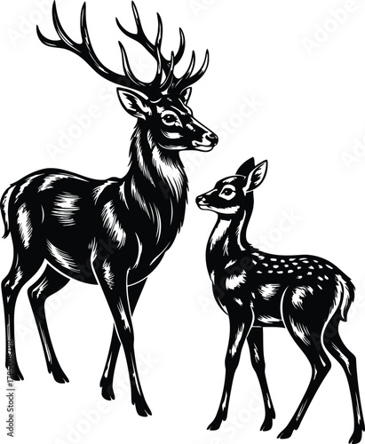 Majestic stag and young fawn silhouette illustration