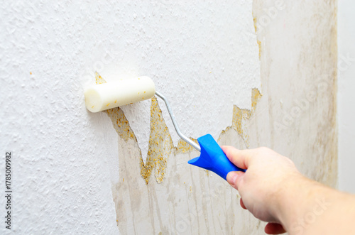 Quadro su tela Removing old wallpaper with a paint roller during home renovation