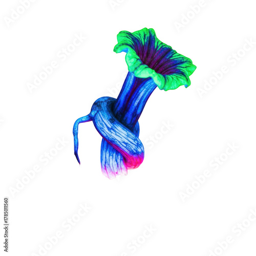 Surreal flower with vibrant green and blue hues, tied in a knot, creating a whimsical and unique botanical illustration isolated on transparent background