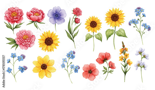 Vibrant Watercolor Floral Collection Delicate Roses, Cheerful Sunflowers, and Artistic Blossoms for Elegant Designs