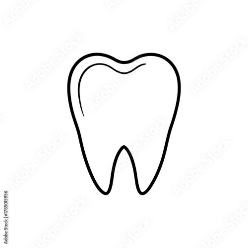 Simple outline illustration of a healthy human tooth on a white background