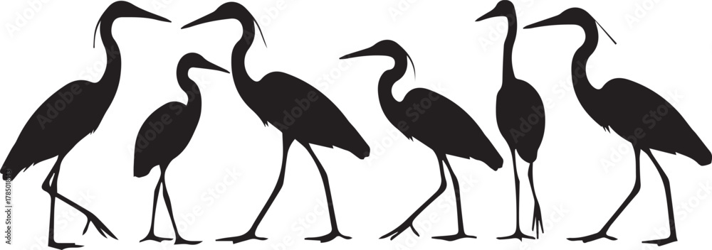 Obraz premium Diverse group of elegant heron silhouettes in natural poses capturing avian grace