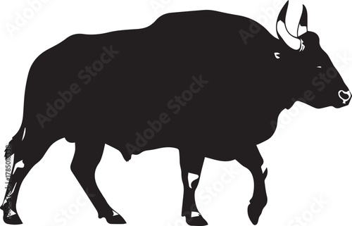 Majestic gaur silhouette majestic wild ox walking side view silhouette wildlife animal
