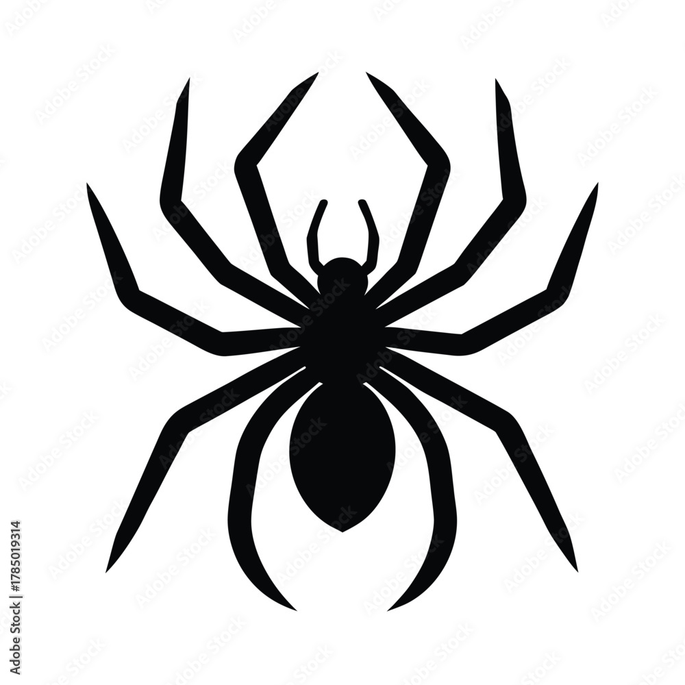 Obraz premium Adobe Illustrator Artwork