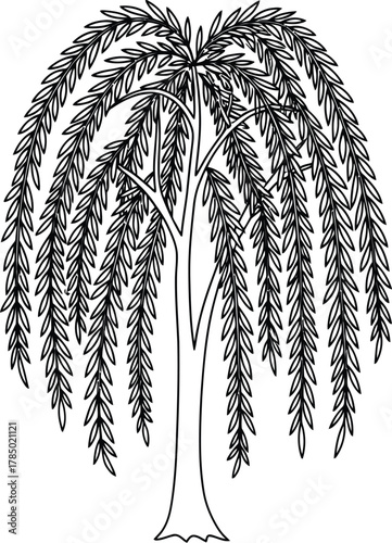 A weeping willow tree, showcasing its graceful, cascading branches and delicate leaves in a monochrome sketch