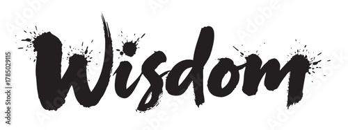 Bold black brushstroke lettering spelling the word "wisdom" with ink splatter decoration.
