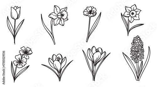 Black outline drawings of various spring flowers including tulip, daffodil, and hyacinth arranged in a row, each showcasing distinct shapes and petal arrangements.