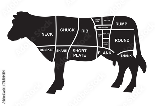Beef meat diagram. vector illustration	