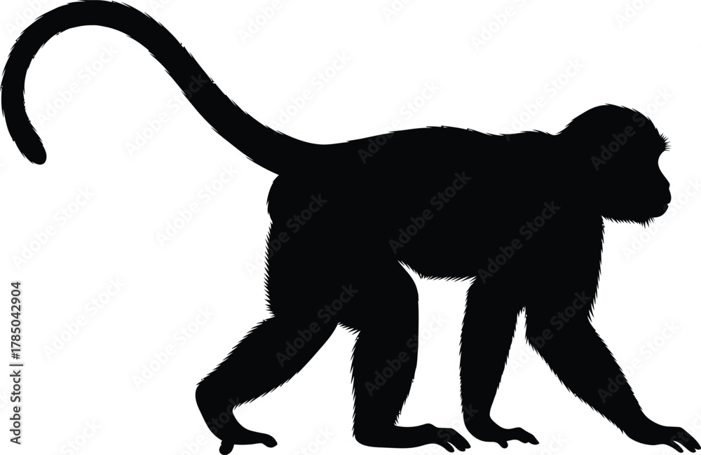Obraz premium Walking Monkey Silhouette Vector Illustration with Long Curved Tail for Nature and Primate Themes, AI Generative