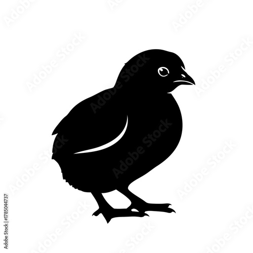 Black Silhouette of a Baby Chick