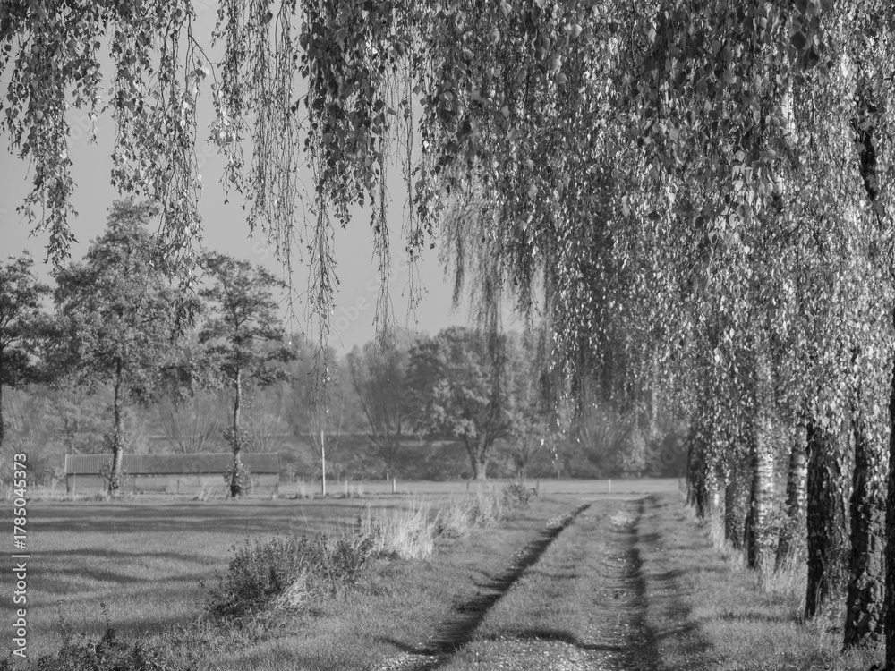Fototapeta Herbstlauf im Münsterland