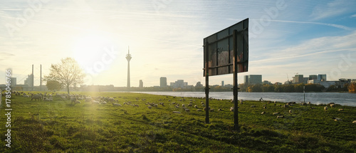 Morgenstimmung - Sonnenaufgang am Rheinufer in Düsseldorf