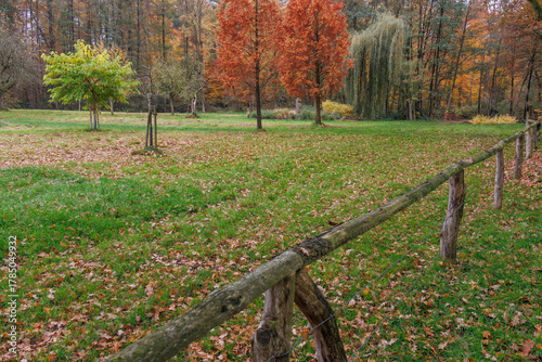 Herbstzeit im Münsterland in der Nähe von Velen