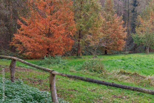 Herbstzeit im Münsterland in der Nähe von Velen