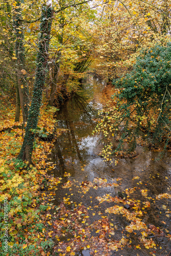 Herbstzeit im Münsterland in der Nähe von Velen