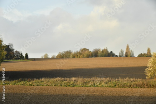 Konstfotografi Paysage rural en automne en fin de journée sous un ciel gris à Écaussinnes d'Eng