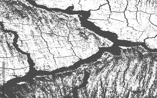 grunge wood Grunge grain scratched texture Old worn overlay vector black and white distressed.Enhance designs with authentic grunge overlay. Perfect for rustic and vintage aesthetics 