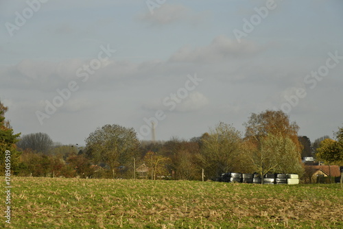 Prairies et bois en automne sous un ciel nuageux à Écaussinnes d'Enghien (Soignies)