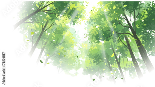 Vector illustration of sunlight filtering through lush green leaves of trees in a forest, creating a serene and vibrant atmosphere on a white background