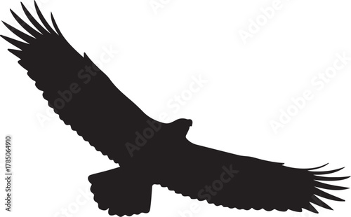 Black Silhouette of an Eagle in Flight with Wings Spread Wide on a White Background bird raptor on transparent background