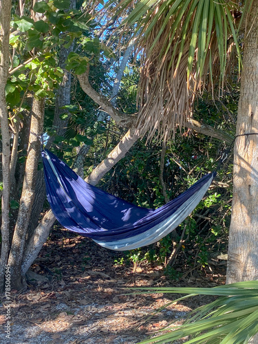 hammock on a tropical island
