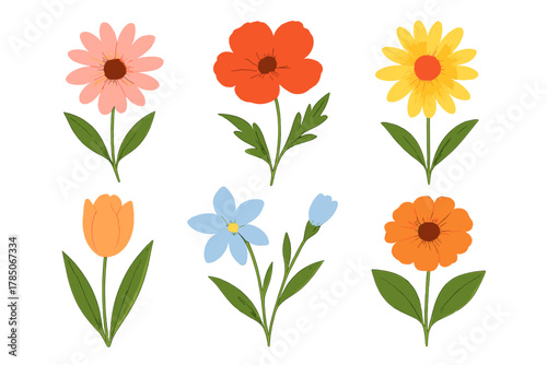 Collection of colorful stylized spring and summer wildflowers on stems