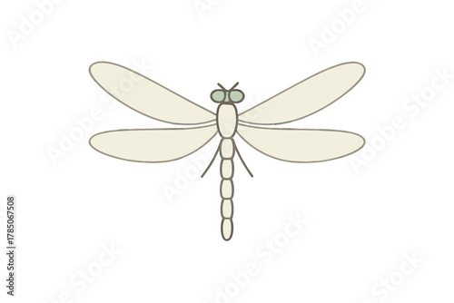 Stylized pale dragonfly insect isolated on a clean white background