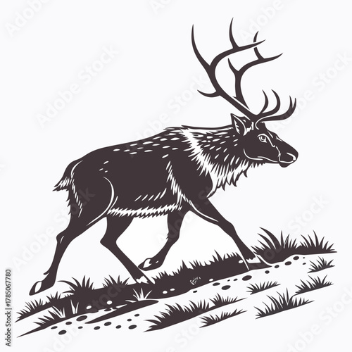 Majestic Stag with Antlers Walking on Snowy Ground hoof illustration