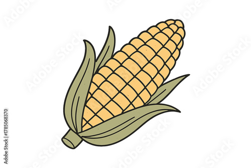 Detailed view of single ear of corn with partially opened husk