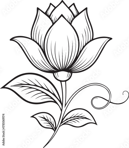 Elegant lotus flower illustration