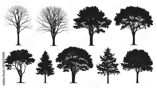 Vector illustration of collection of diverse tree silhouettes on a white background