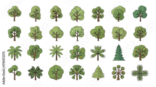 Diverse collection of illustrated trees and foliage for design and decoration