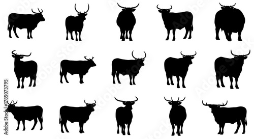 a grid of black bull silhouettes standing in various poses, vector illustration Isolated on white background