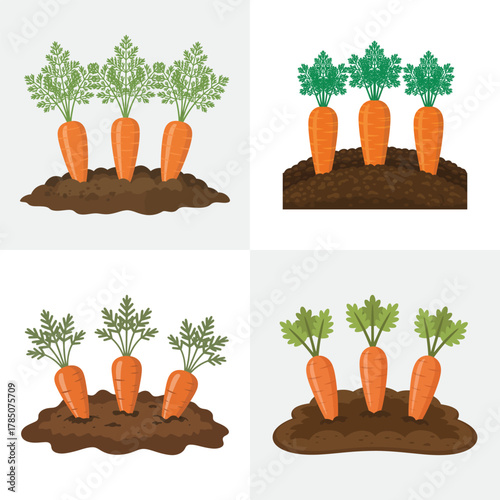 Fresh orange carrots and green leafy vegetables on white background
