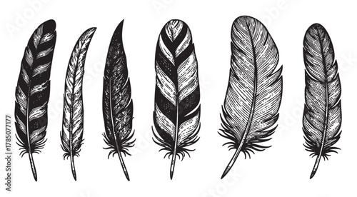 Black and white illustration of six different feather designs, showcasing intricate patterns and textures in various shapes and sizes.