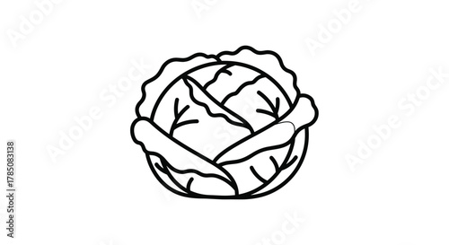 A simple line art drawing of a fresh head of cabbage with its leaves.