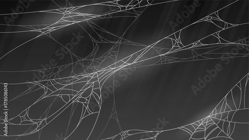 Spider Web On Dark Background Halloween Design Elements Spooky Scary Horror Decor Vector