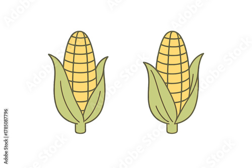 Two sweet corn cobs with green husks in simple graphic style